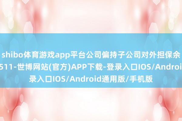 shibo体育游戏app平台公司偏持子公司对外担保余额为东谈主民币511-世博网站(官方)APP下载-登录入口IOS/Android通用版/手机版